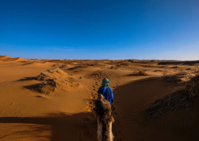 Desert activities - camel trekking in Morocco