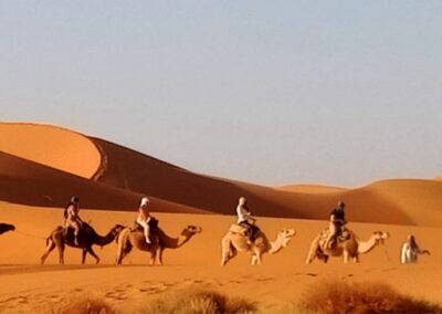 Camel trekking at Erg Chegaga Desert