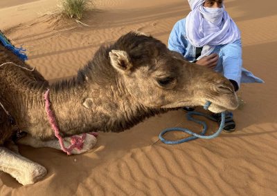 Camel Trek in the desert of Morocco -Desert Space Tour