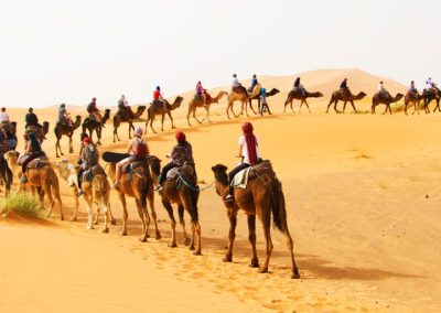 Camel Trekking in Merzouga