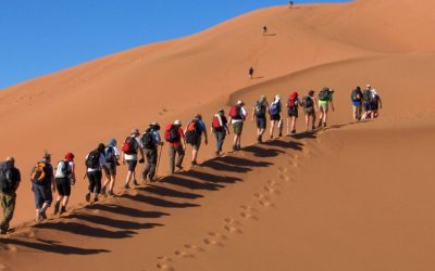 Morocco Desert Trip Of 4 Days – From Fes To Marrakech