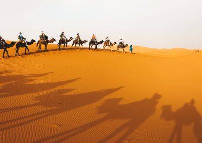 Camel Ride above dunes of Merzouga