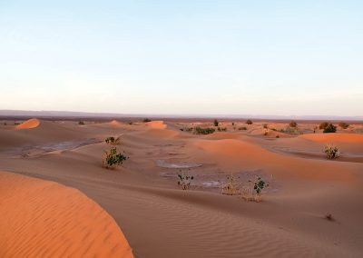 Dunes in the desert of Mhamid El Ghizlane