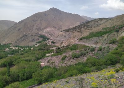 Mountain at spring - desert space tour