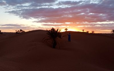 Best 2-day Trekking Adventure through Sahara Desert of Mhamid