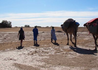 Trekking with camels in the desert