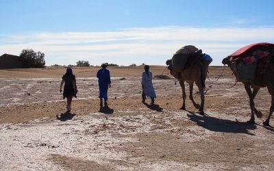 Camel trekking Trip: The best way to Explore the Sahara desert of Morocco