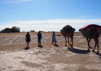 Walking in Sahara desert with camels