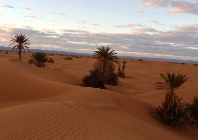 Dunes in Draa oases of Morocco