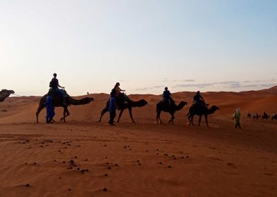 Camel ride in Sahara desert of Morocco