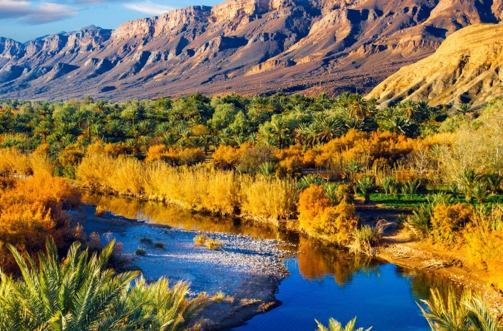 6-day desert Trekking Tour From Marrakech / Explore Major Desert